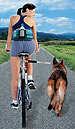 WalkyDog&reg; - a bicycle dog leash that attaches to a bike's frame in complete safety for the both of you!